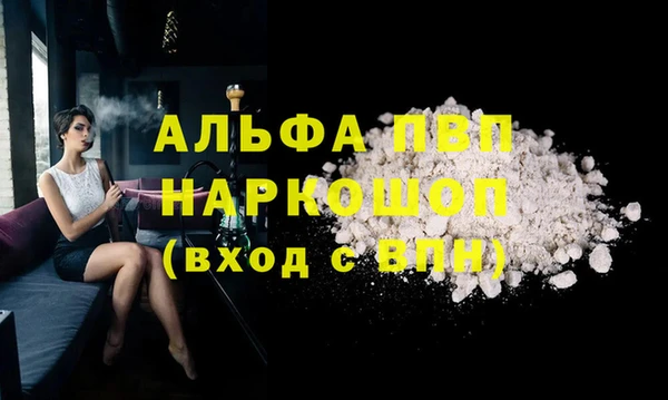 СК Зерноград