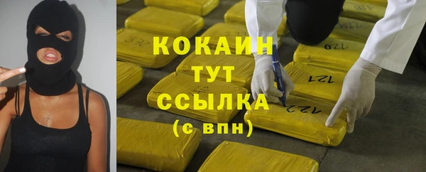 СК Зерноград
