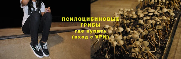 СК Зерноград
